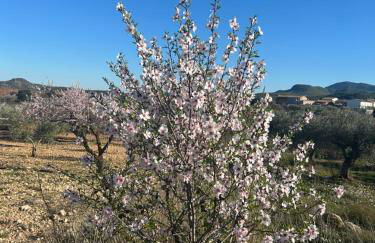 Casa Miranda - Foto 10
