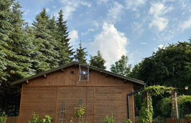 Butelkowa Zieleń - Foto 40