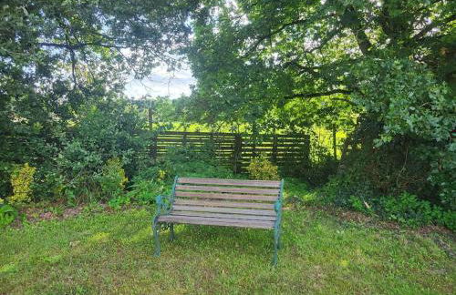 Little Apples - Foto 6