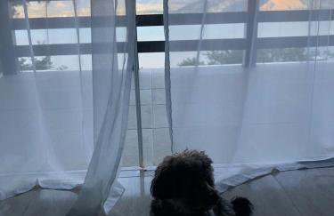 Chalé da Clarissinha - Photo 57