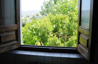 Finca Ecológica Morera - Foto 16