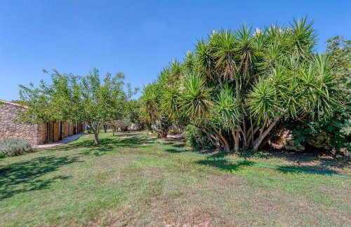 Masseria Copertini - Foto 35