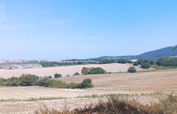 Casetta di Ciccy & Moma - Foto 16