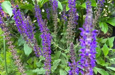 Vintage Charm: Annapolis Retreat - Foto 8