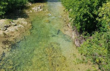 Magnifique villa de charme avec piscine - Foto 56