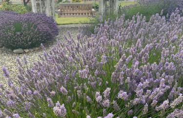 Dungeness Barn House Bed and Breakfast at Two Crows Farm - Foto 8