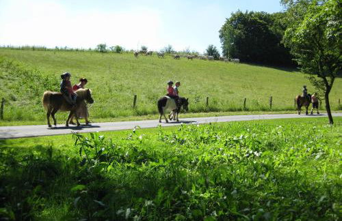 Ferienhof Schade - Foto 14