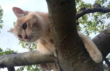 Agriturismo Valiana - Foto 66