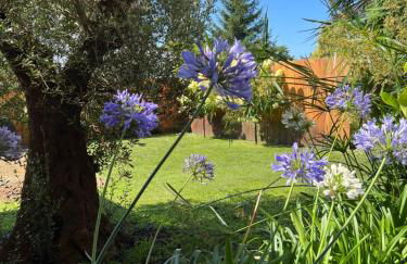 La cabane 62 - Foto 16