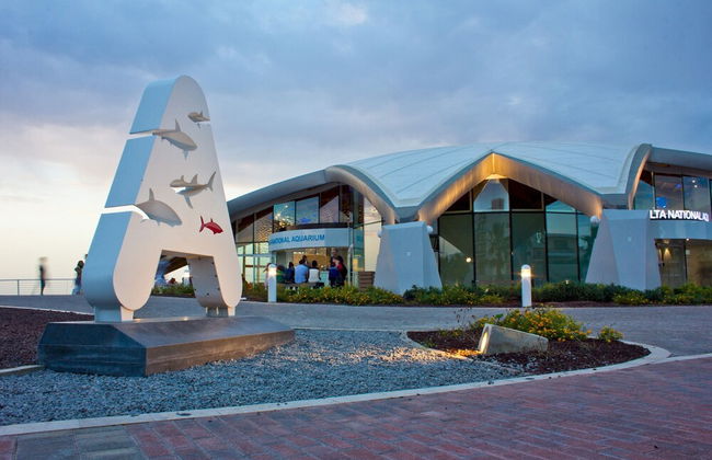 Seafront Luxury Apartment Incl Pool - Foto 17