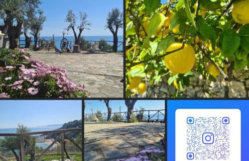 CASA OLEANDRO - Photo 24