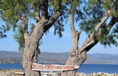 NEPTUNE OASIS Villa - Foto 60