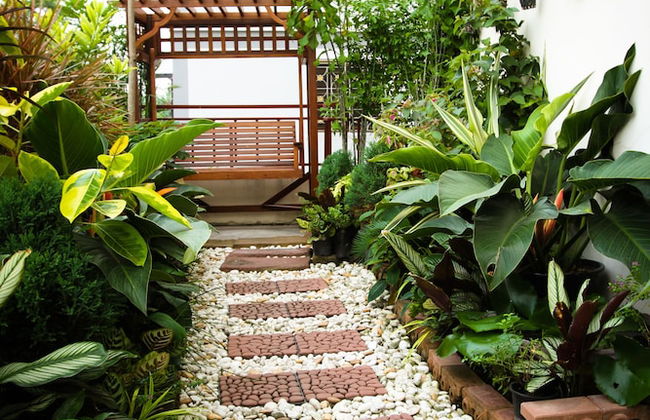 Unico Srinakarin Residence - Photo 12