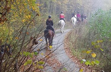 Holiday house Green hill in Zagorje - Foto 78