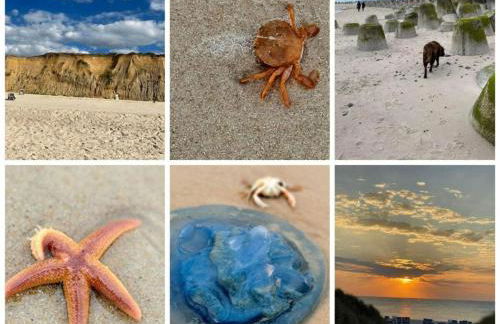 FeWo Nero Comfortable holiday residence - Foto 25