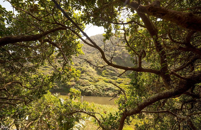 Ballots Bay Treehouse by HostAgents - Photo 20