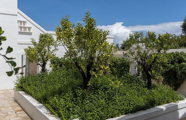 Masseria Stefanodelconte - Foto 13