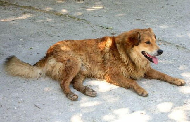 Agriturismo Monti Sibillini Camperato - Photo 13