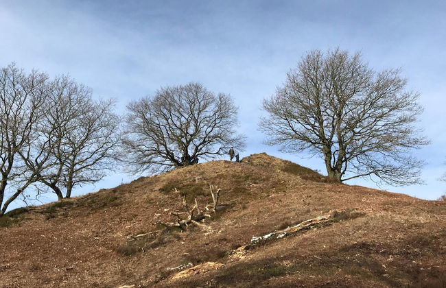 4 Person Holiday Home in Silkeborg-by Traum - Foto 9