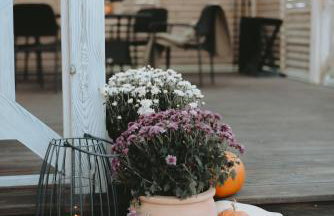 Domek Sielsko z kominkiem i jacuzzi godzinę od Warszawy - Foto 7