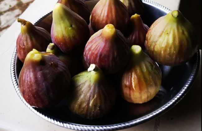 Country House in the Su Gologone Area 30 km From Cala Gonone 5 km From Oliena - Photo 55