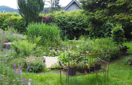 Urlaub im Naturgarten - Foto 7