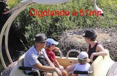 Grand appartement au cœur de la région alsacienne - Photo 72