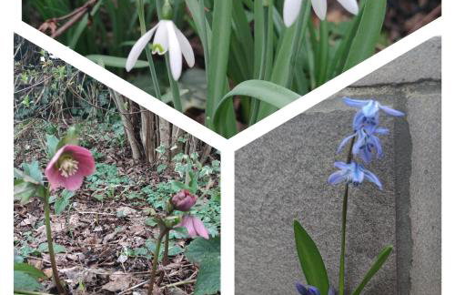 Stylisch Villa in Hannover Isernhagen - Foto 16