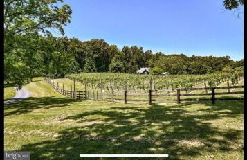 Vinewood Estate & Adventures - Foto 16