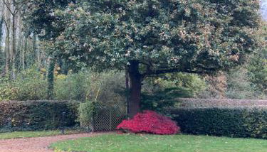 Charming 2-bed Cottage, Beautiful Views, Knutsford - Foto 5