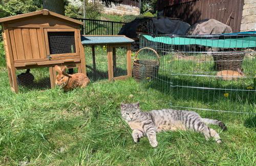 Naturhof Kluge - Foto 52