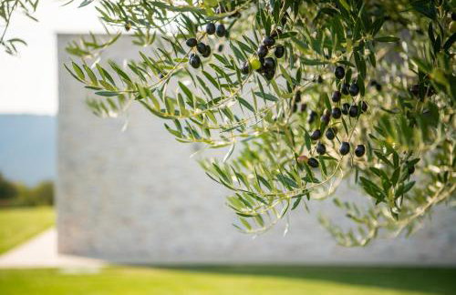 Villa Memory - Foto 35