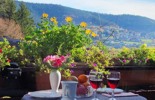 Schwarzwald-Ferienwohnungen Begert - Foto 1