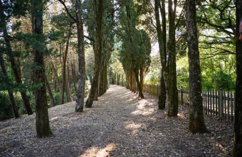 Borgo di Camporsevoli - Foto 72