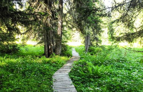 Résidence La Beguette - Chaleureux appartement au pied des pistes MAE-3144 - Foto 18