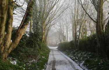 The Retreat - Photo 17