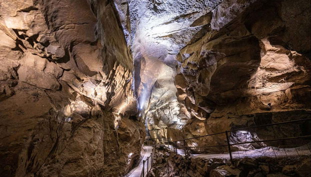 Cliffs of Moher & Aillwee Caves Day Trip - Photo 4