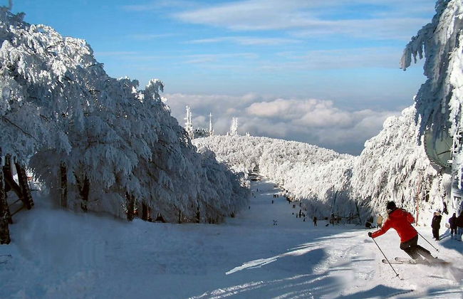 Agriturismo Le Casaline - Foto 75