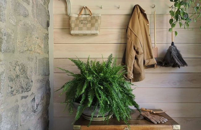 Argyll House by Boutique - Foto 20