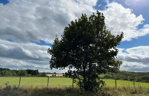 Tumbledown Croft, rural cottage near Cruden Bay - Photo 24