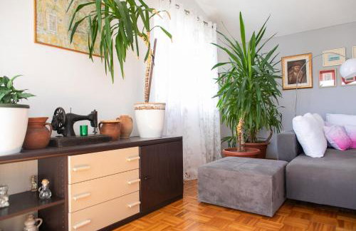 Apartman Tonko - Foto 13