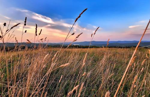 Domek Malinowy - Photo 55