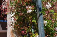 Mi Casita Villamartín Golf - Photo 46