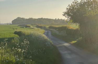 Deer View Cabin - Woodland, beaches and Hot tub - Foto 8
