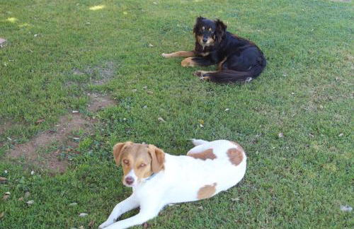 Podere Serena - Foto 72