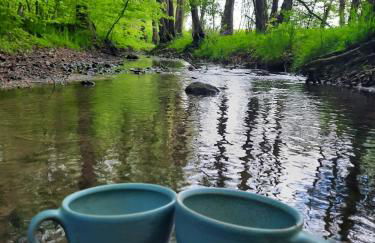 Ostseerauschen - Foto 55