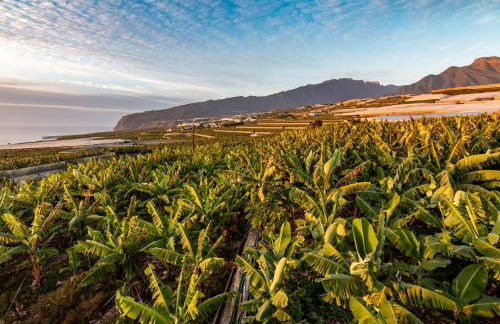 Casa Cucú - Foto 31