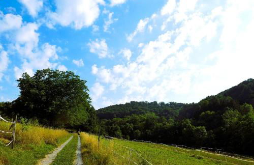 Apartment am Fuchseck - Foto 10