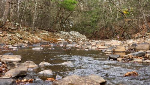 Loft Wood Stove Fire Pit Grill & Deck on Creek - Foto 4