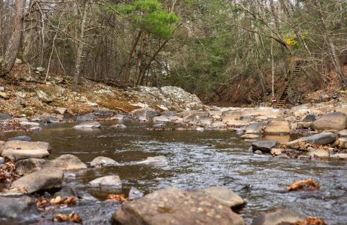Loft Wood Stove Fire Pit Grill & Deck on Creek - Foto 4